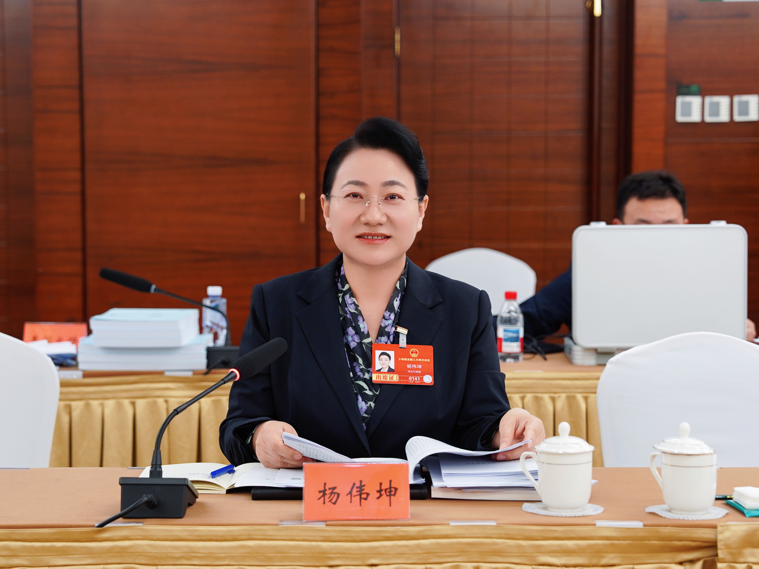 代表委员话能源|杨伟坤:加快推进全面电气化电热化 为绿色低碳发展注入强劲动能 ​