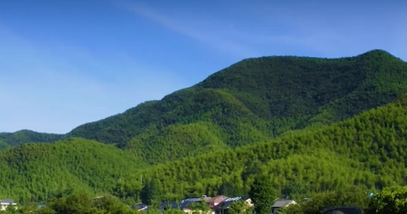 把绿水青山刻在今天、刻进未来 (人民论坛)