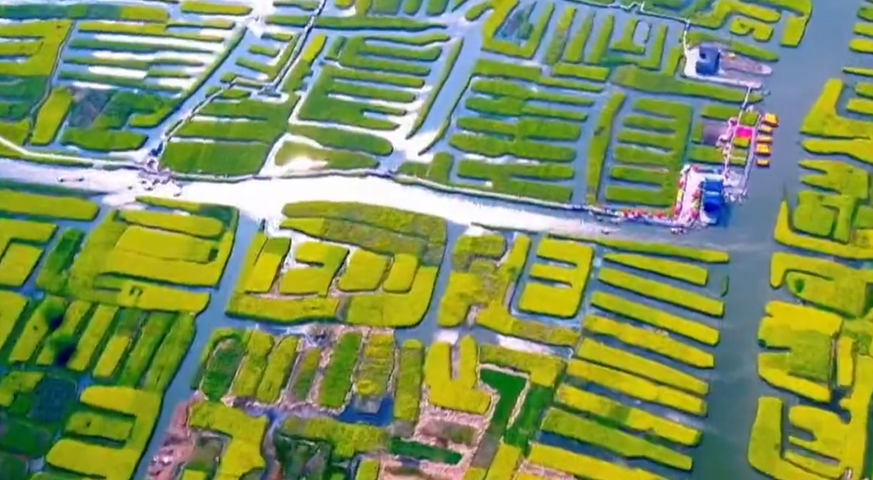 科技支撑高水效农业发展 筑牢国家粮食安全水根基 —— 访中国工程院院士康绍忠