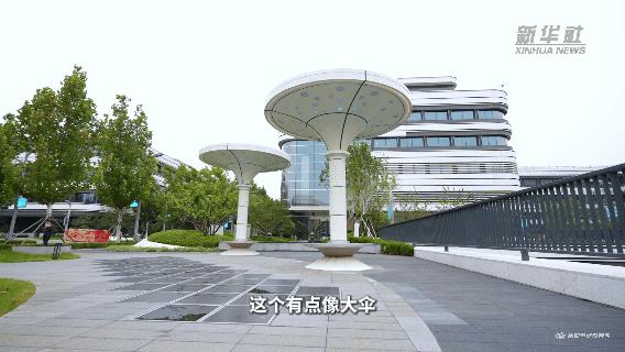 /1/editor/202610/1791518729224.gif /1/editor/202610/1791518729224.gif